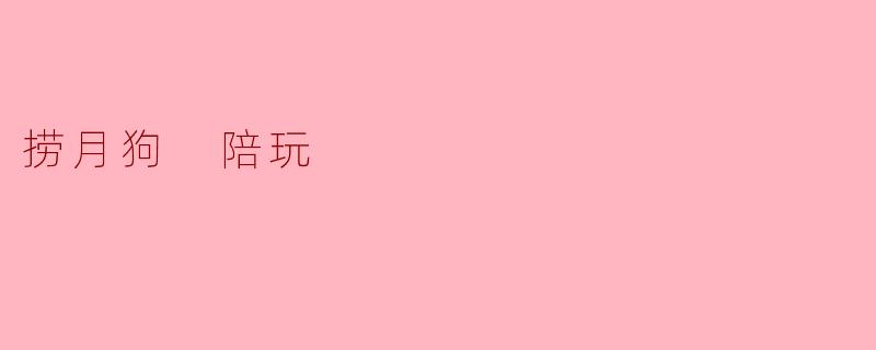 什么是捞月狗陪玩？
